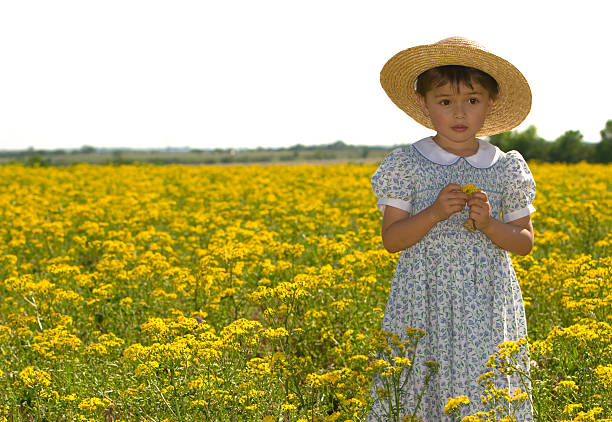 Young child in field of yellow flowers stock photo