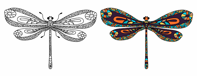 Set dragonflys. Coloring page for adults antistress in zentangle style, isolated on white background.