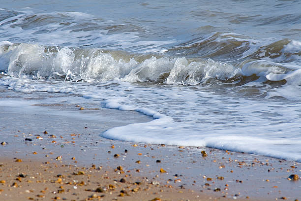 Beach and Waves stock photo