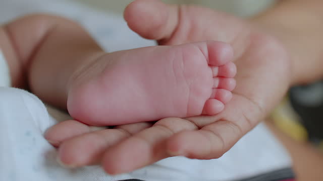 Infant Feet in mother hand