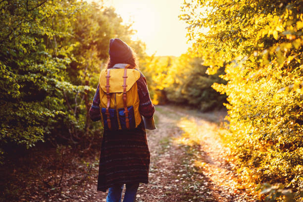 istock Unrecognizable young woman hiking during sunset 1459284618