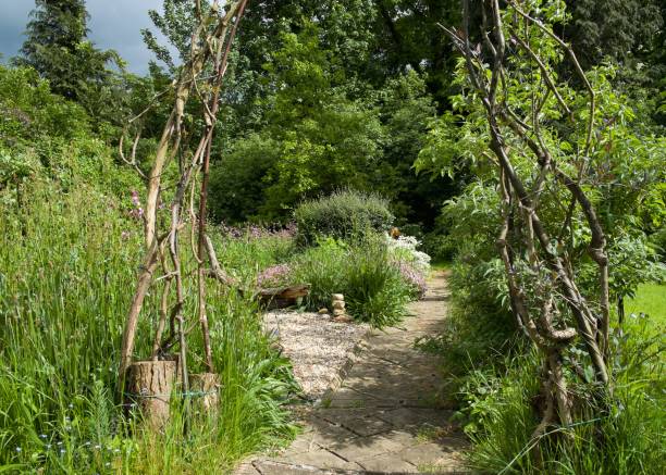 istock View of a path in the garden on a sunny day 1459285182