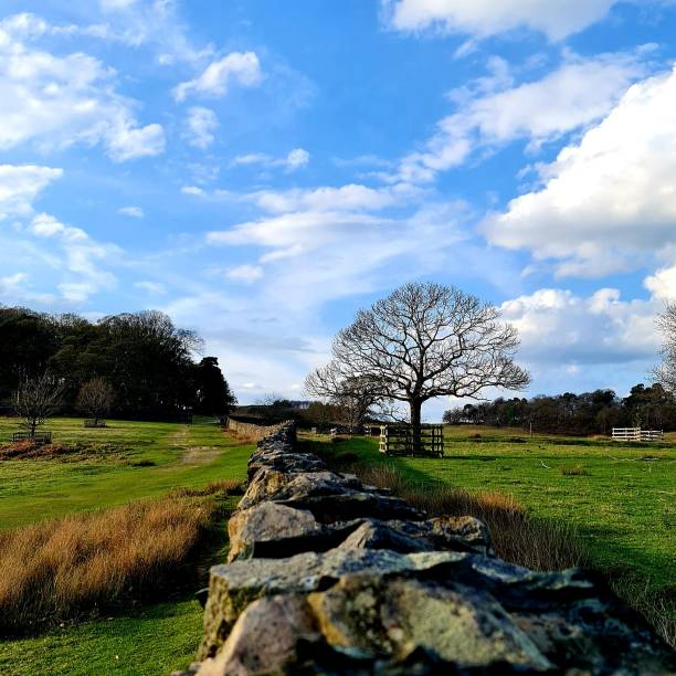 Stone Wall at Ashford-in-the-Water in Peak District National Park of Derbyshire, England