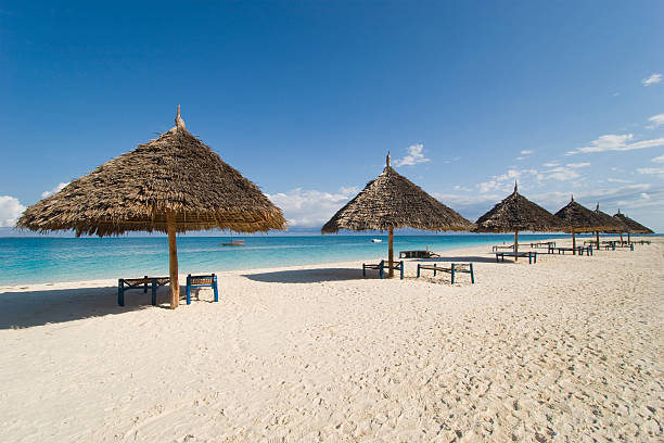 zanzibar resort beach stock photo