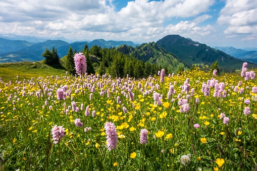 Mountain range and ridges in Switzerland