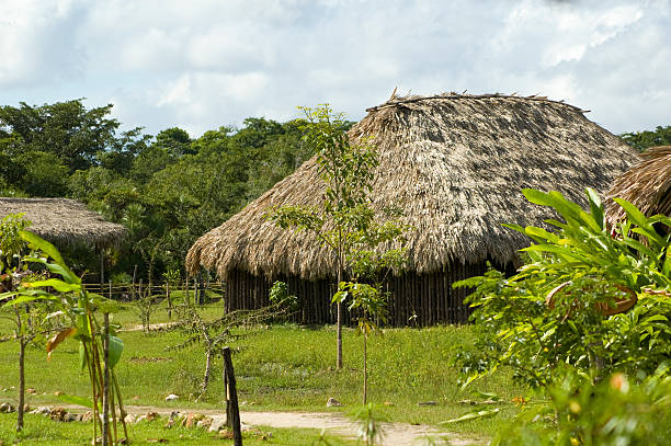 istock hut with thatched roof in belize 145928683