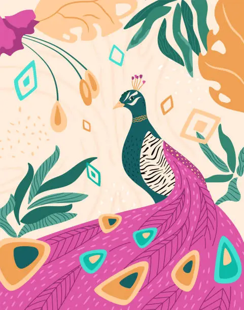Vector illustration of Peacock with bright tail print. Bird in garden with exotic leaves, tropical flowers.