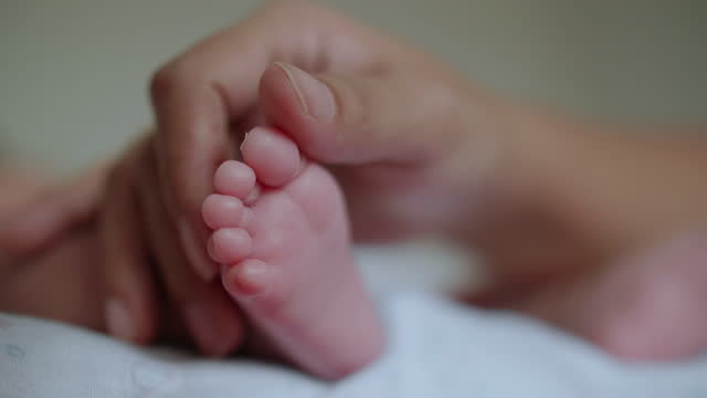 Infant Feet in mother hand