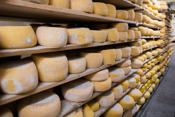 istock Stack of raw cheese on the shelves 1459288765