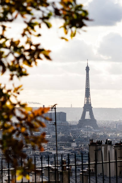 istock Vertical shot of Paris from the roof 1459292325