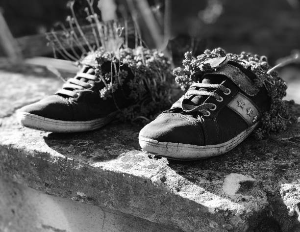 istock Close-up shot of sneakers with decorations: product display composition 1459293038