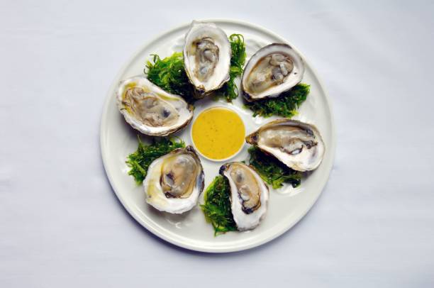 istock Top view of oysters set with garnish on a white platter 1459293505