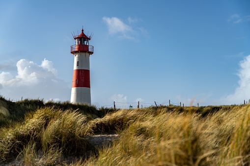 The lighthouse of telex seen from the dunes. There’s a small waterbody that reflects the red lighthouse and its surroundings. The sun shines brightly this afternoon.