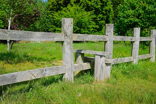 The old gray wooden fence dividing the green grass field on a sunny day