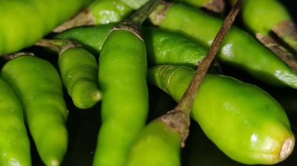 istock Zoom Green cayenne pepper look hot 1459294278
