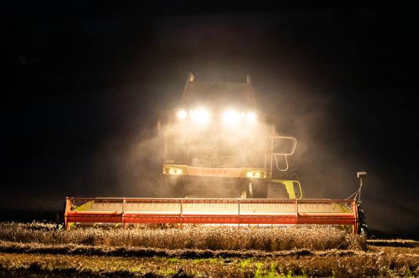 istock Harvester at night in the field 1459294527