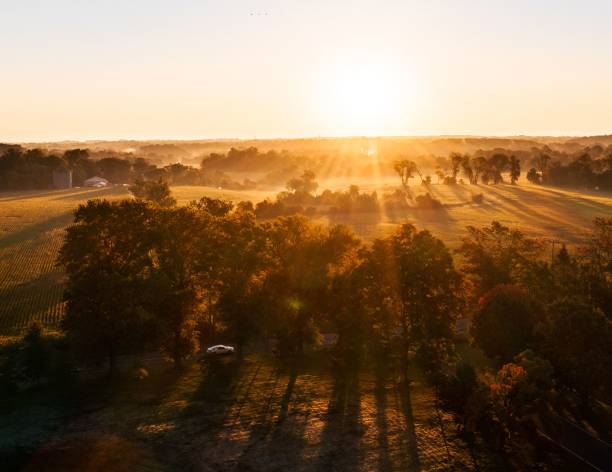 Aerial view of trees in Golden Fields on the sunrise in Newtown, Pennsylvania An aerial view of trees in Golden Fields on the sunrise in Newtown, Pennsylvania newtown stock pictures, royalty-free photos & images