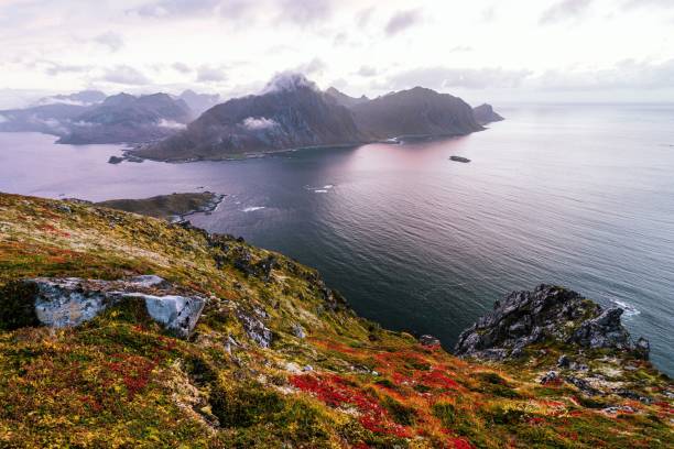 istock Where the mountains meet the ocean 1459296349