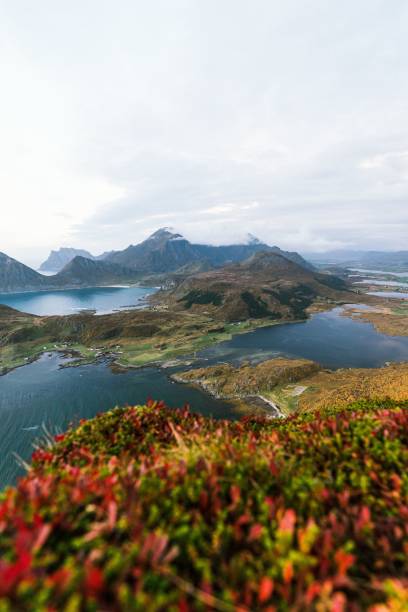 istock Scenic views of Lofoten 1459296379