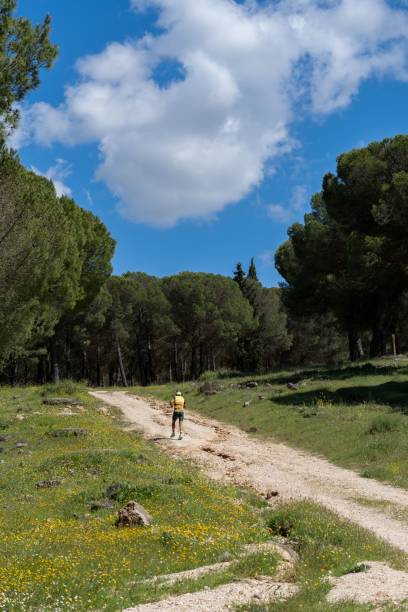 istock man running in the mountains 1459297092