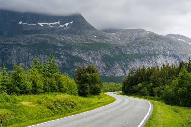 istock Empty road in northern Norway surrounded by trees and high mountain range in the background in landscape format 1459297111