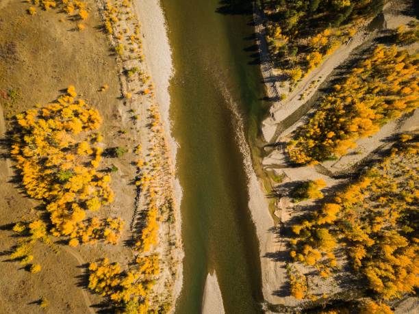 vue en hauteur d’une rivière similkameen dans la plaine inondable entourée d’arbres jaunes. - similkameen river photos et images de collection