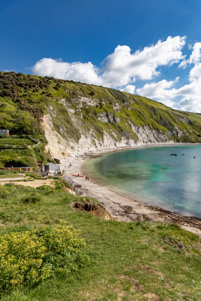 istock Jurassic coastline Dorset England 1459298168