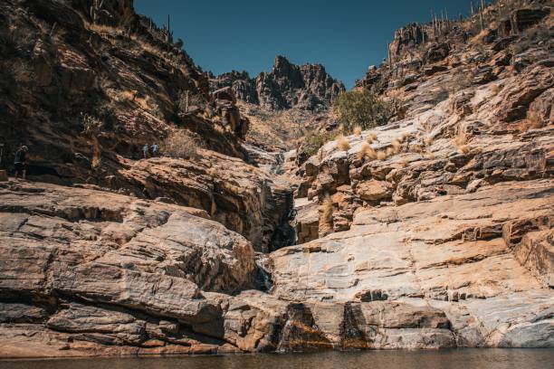 istock Texture of cliffs with cacti grown on top in Tucson Arizona 1459298352