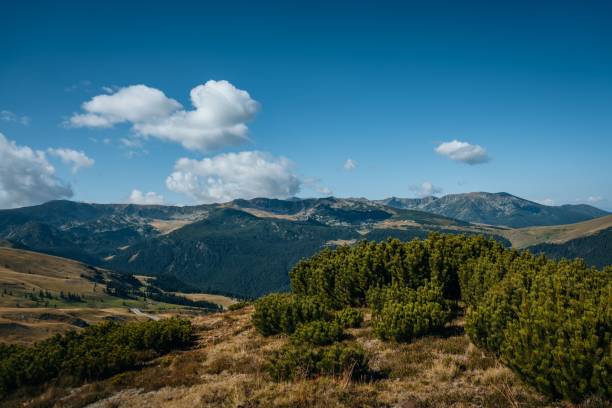 istock Plain landscape with forest mountains and cloudscape in the background 1459298778
