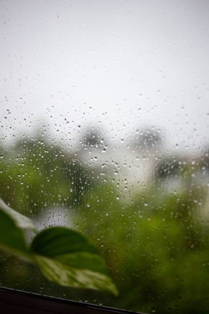 istock Vertical shot of rain droplets on the window 1459299247