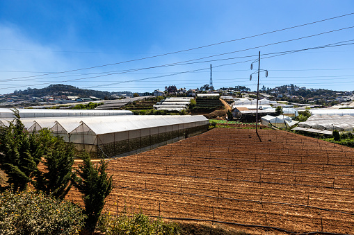 Da Lat, Lam Dong, Vietnam - December 20, 2019: The Greenhouses of Dalat in the Moon Valley