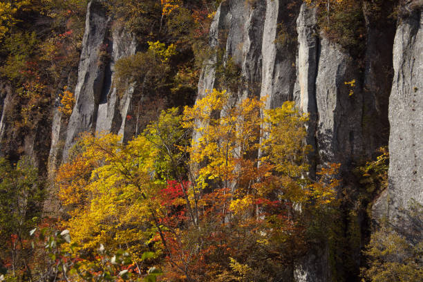 istock Tenninkyo in autumn and majestic columnar joints 1459299517