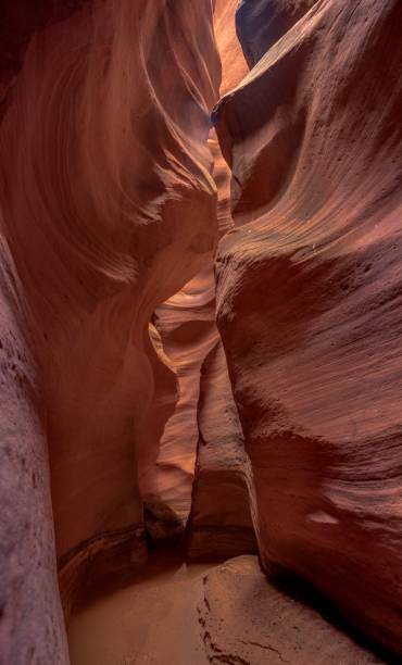 istock Vertical shot of Antelope Canyon in Utah, USA 1459299521
