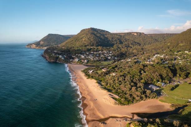 istock Drone shot over green Stanwell park beach on a sunny day 1459299989
