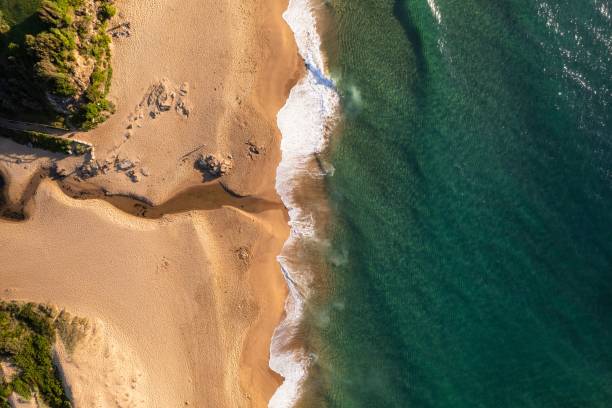 istock Drone top shot over sea water and sandy beach 1459300007