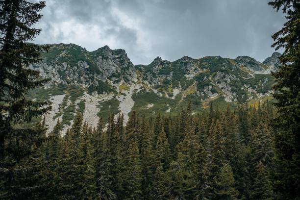 istock Big mountains covered in dense green forest under the cloudy sky 1459300666