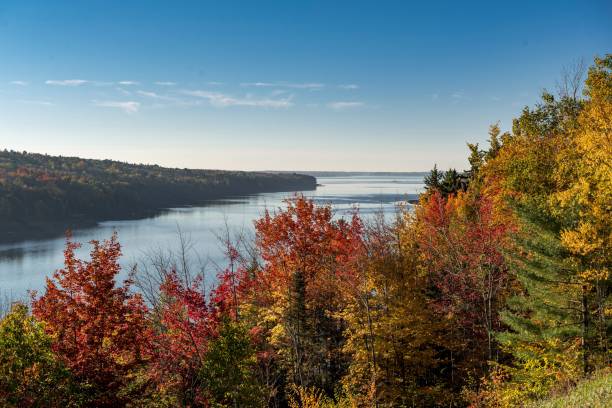 istock Big river surrounded by colorful forest in New England under a bright blue sky 1459300827