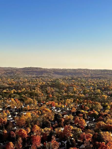 istock Aerial view of forest surrounded by dense trees 1459301581