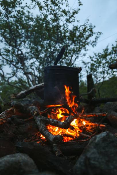 istock Vertical shot of a burning bonfire in a park 1459301952