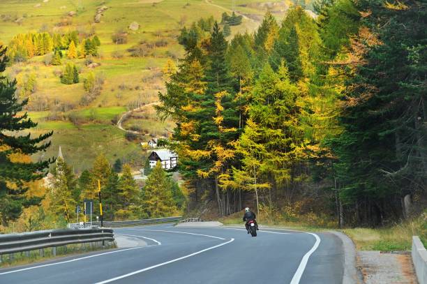 istock Man is driving a motorcycle on the road surrounded by pine trees. 1459301968