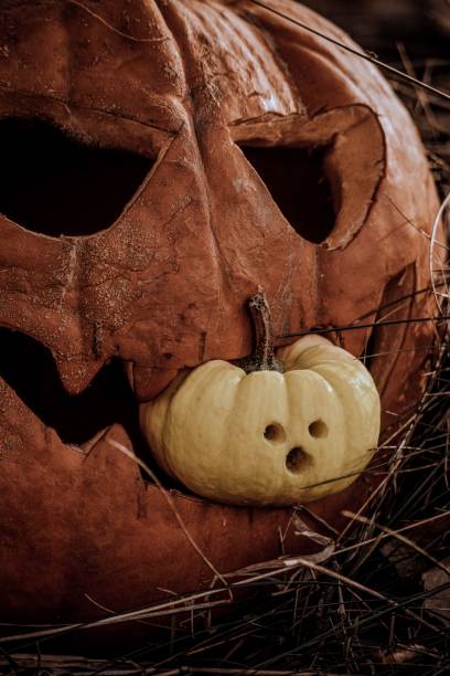 istock Closeup of a Halloween pumpkin in a forest 1459302425