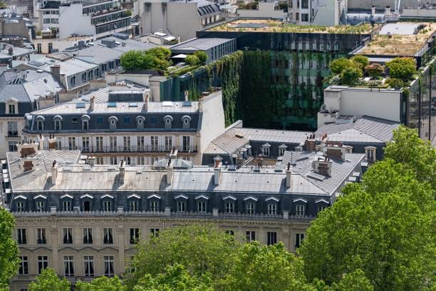 Paris, luxury Haussmann facades