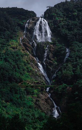 A vertical shot of the Dudhsagar Falls surrounded by green vegetation. Goa, India.