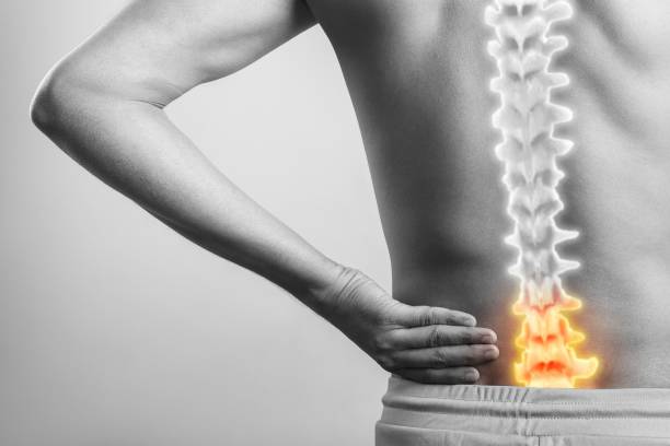 istock cgi 3d spinal cord anatomy signifying lower back injury pain 1459304285