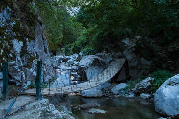 istock Small bridge over a river surrounded by rocks and vegetation 1459304831