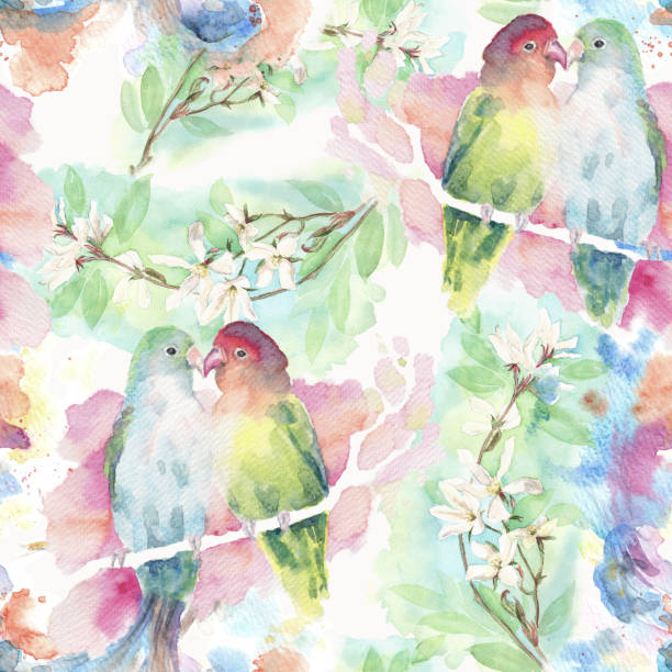 illustrazioni stock, clip art, cartoni animati e icone di tendenza di motivo esotico senza cuciture con piccioncini e magnolia - spring birdsong bird seamless