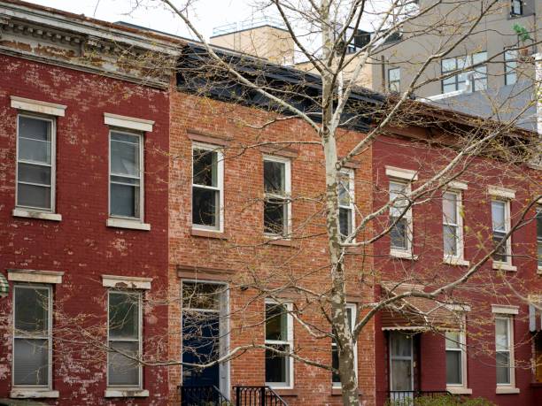 istock Brick facades of buildings with a bare tree in a foreground 1459305514