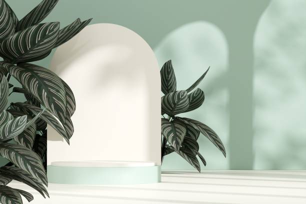 istock 3D illustration of empty space podium display for product, natural background 1459305907