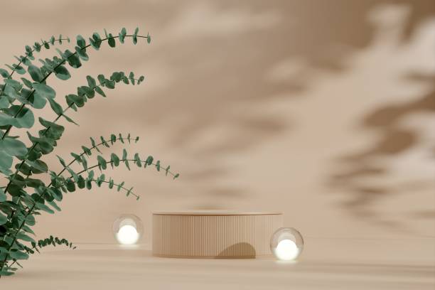 istock 3D rendering of a product display podium and a beautiful plant 1459306020