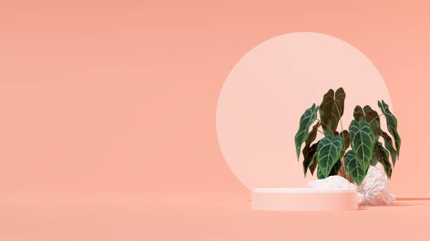 istock 3D illustration of a showcase decorated with flowers with copy space 1459306771